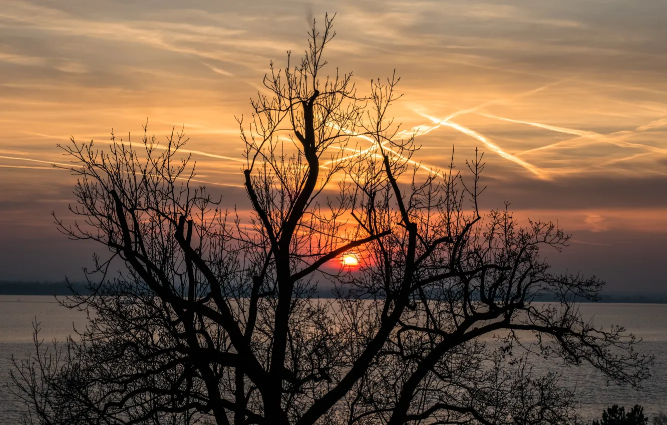Photo wallpaper sunset, river, Elba
