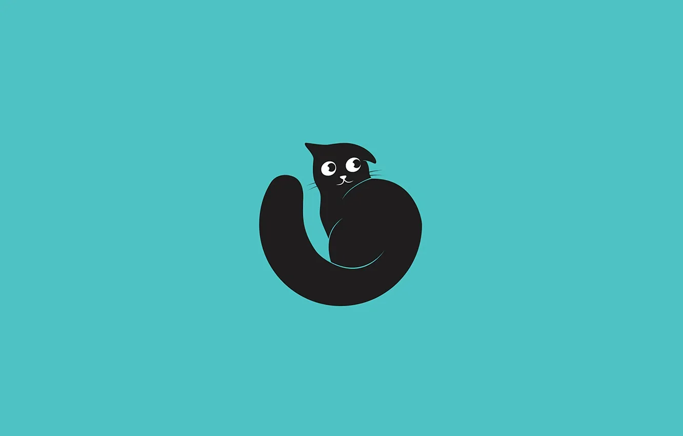 Photo wallpaper cat, look, background, Wallpaper, black, vector, art, muzzle