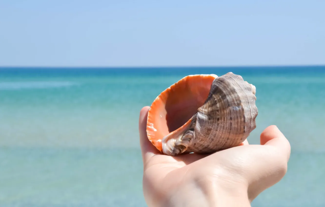 Photo wallpaper sea, summer, hand, shell