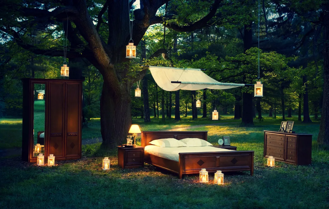 Photo wallpaper greens, grass, leaves, trees, nature, background, mood, widescreen