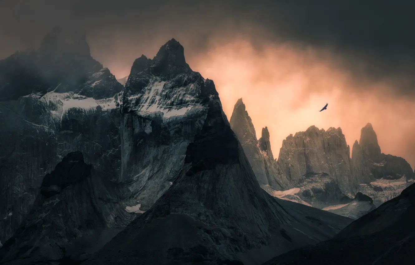 Photo wallpaper snow, mountains, clouds, nature, rocks, bird, eagle, Chile