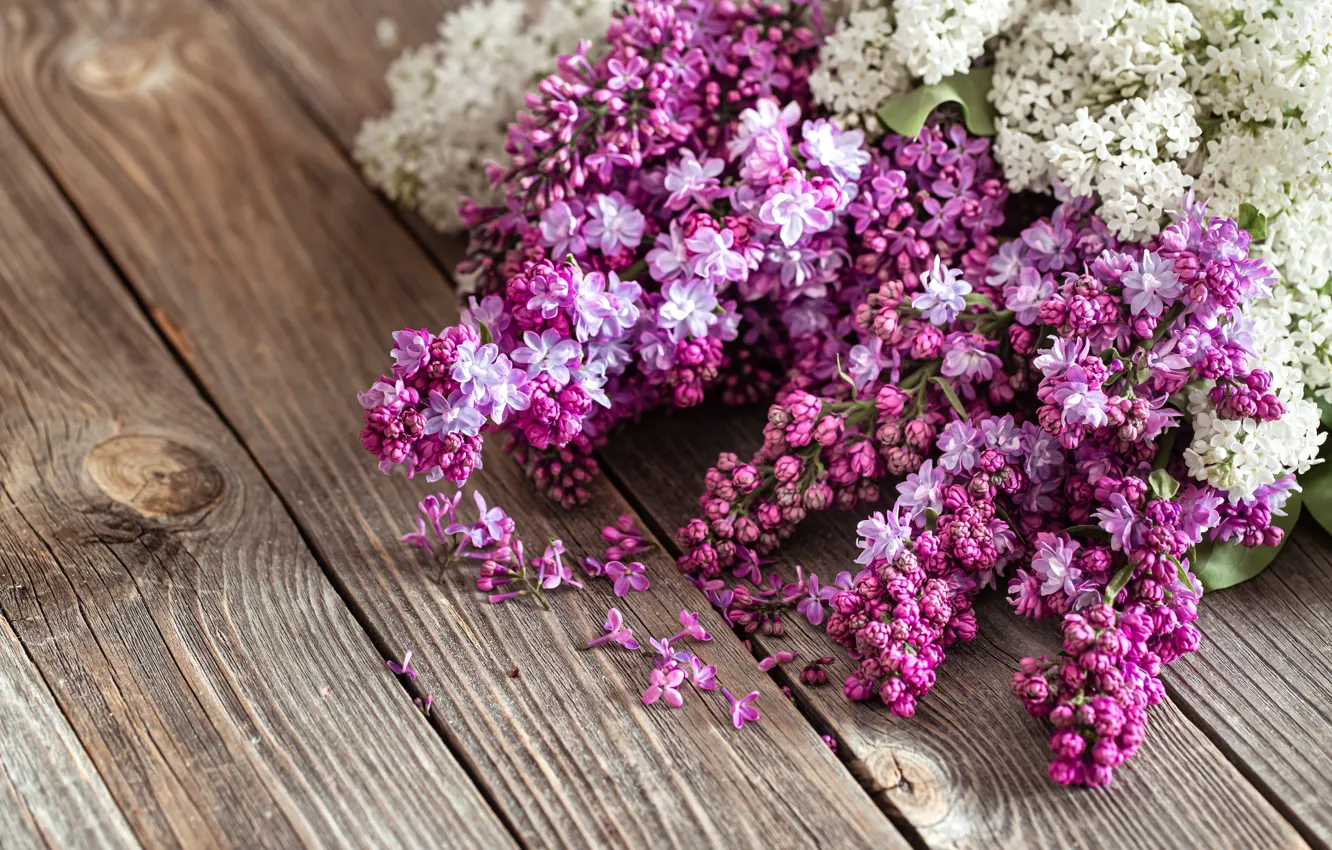 Photo wallpaper Board, flowers, lilac, bunches