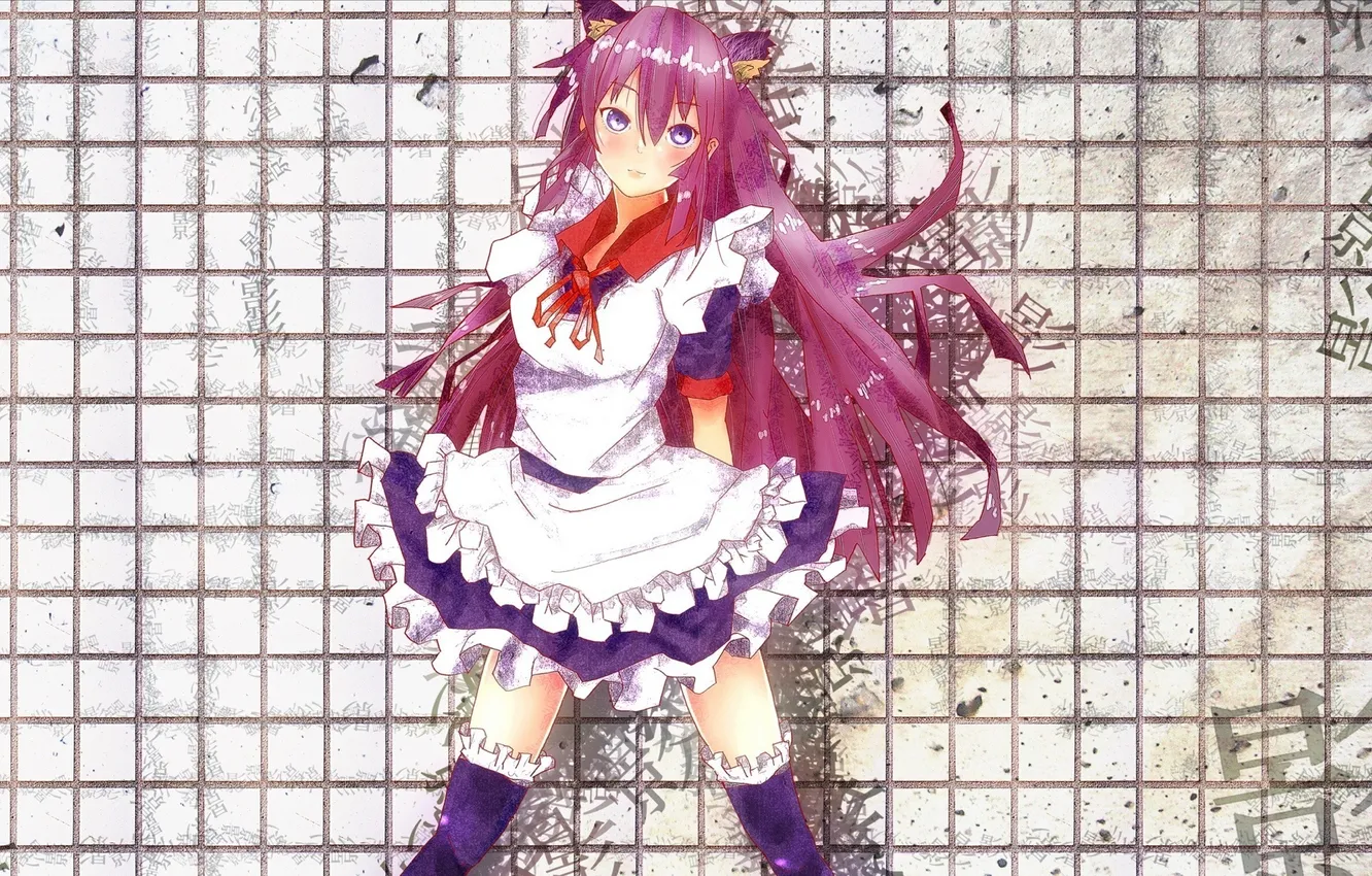 Photo wallpaper girl, anime, art, bakemonogatari, history of monsters, hitagi