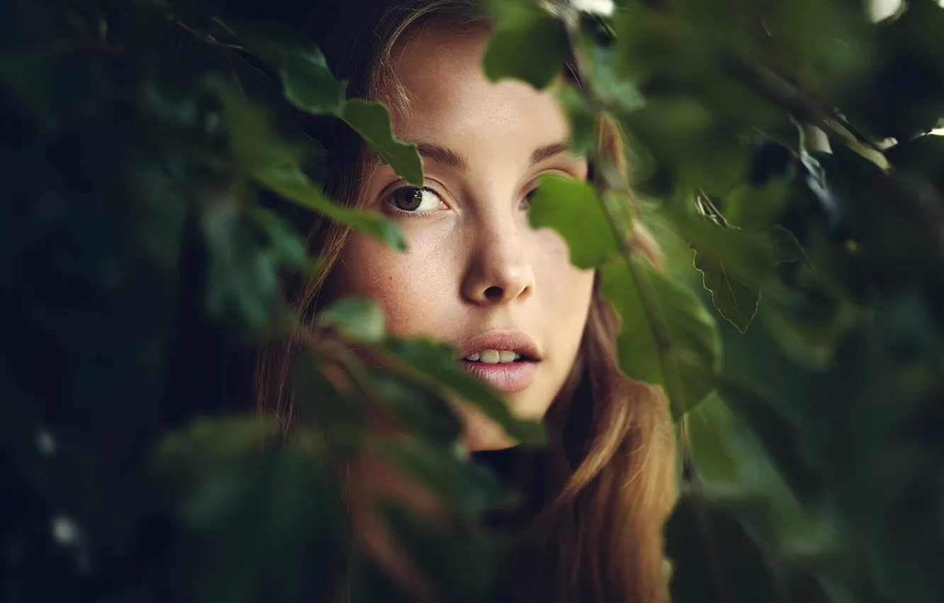 Photo wallpaper look, girl, portrait