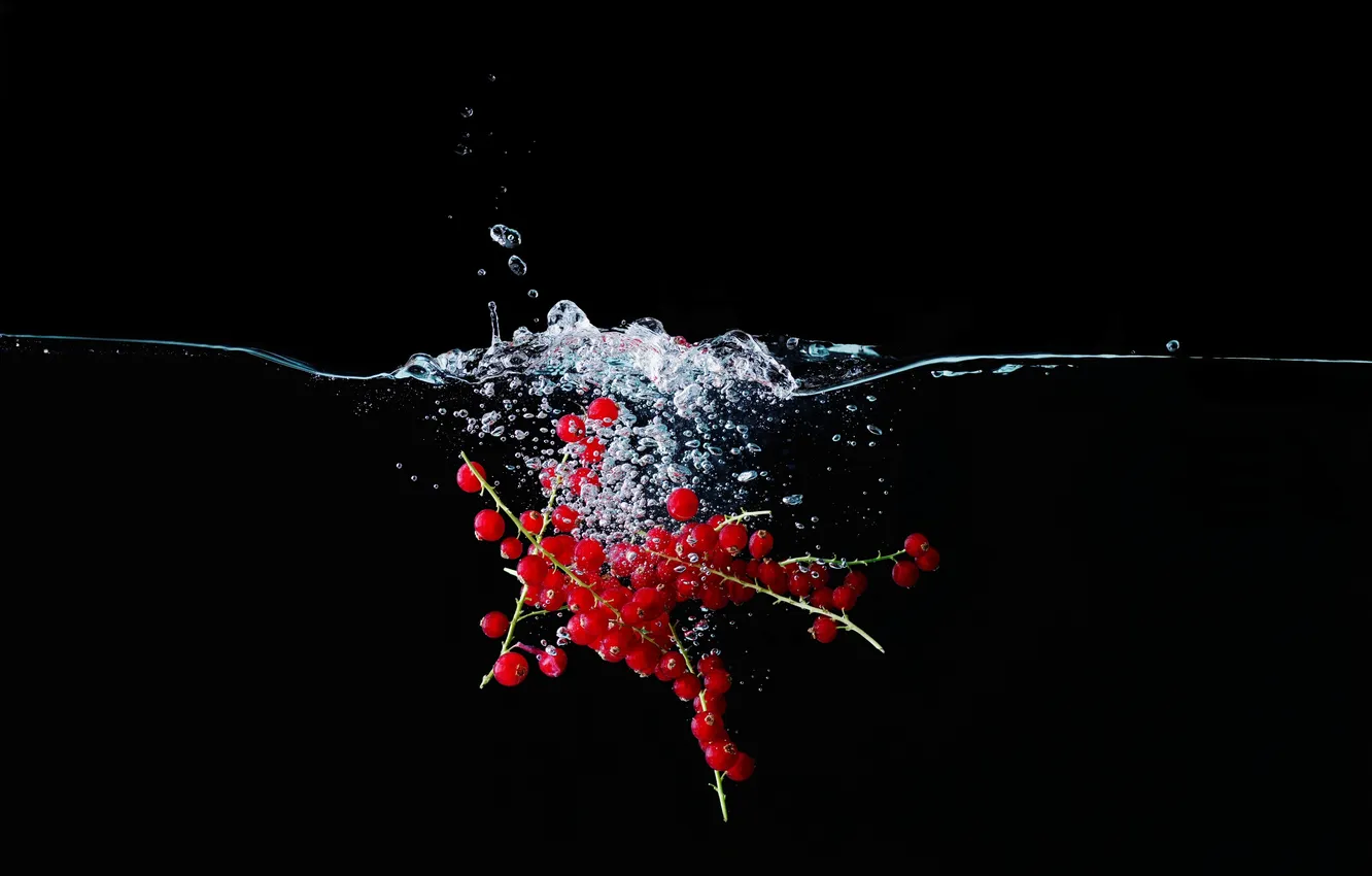 Photo wallpaper water, red, bubbles, berries, black background, currants