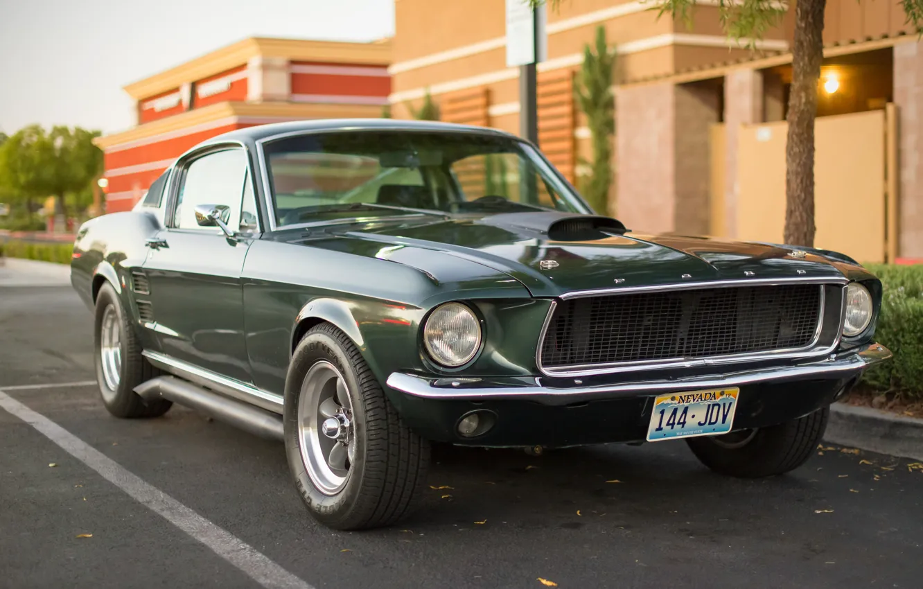Photo wallpaper Mustang, Ford, classic, the front, Muscle car