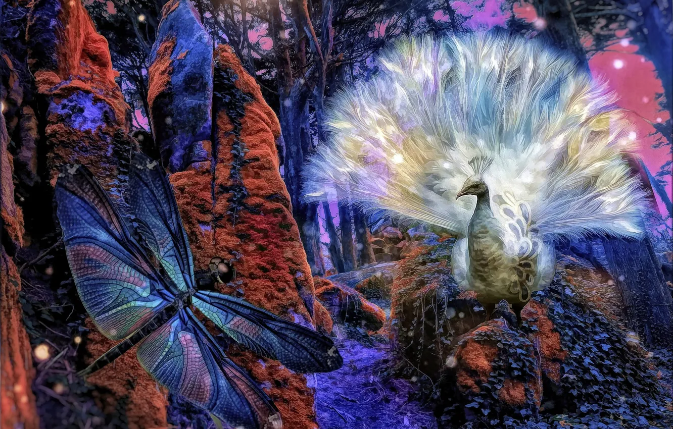 Photo wallpaper forest, collage, dragonfly, art, peacock