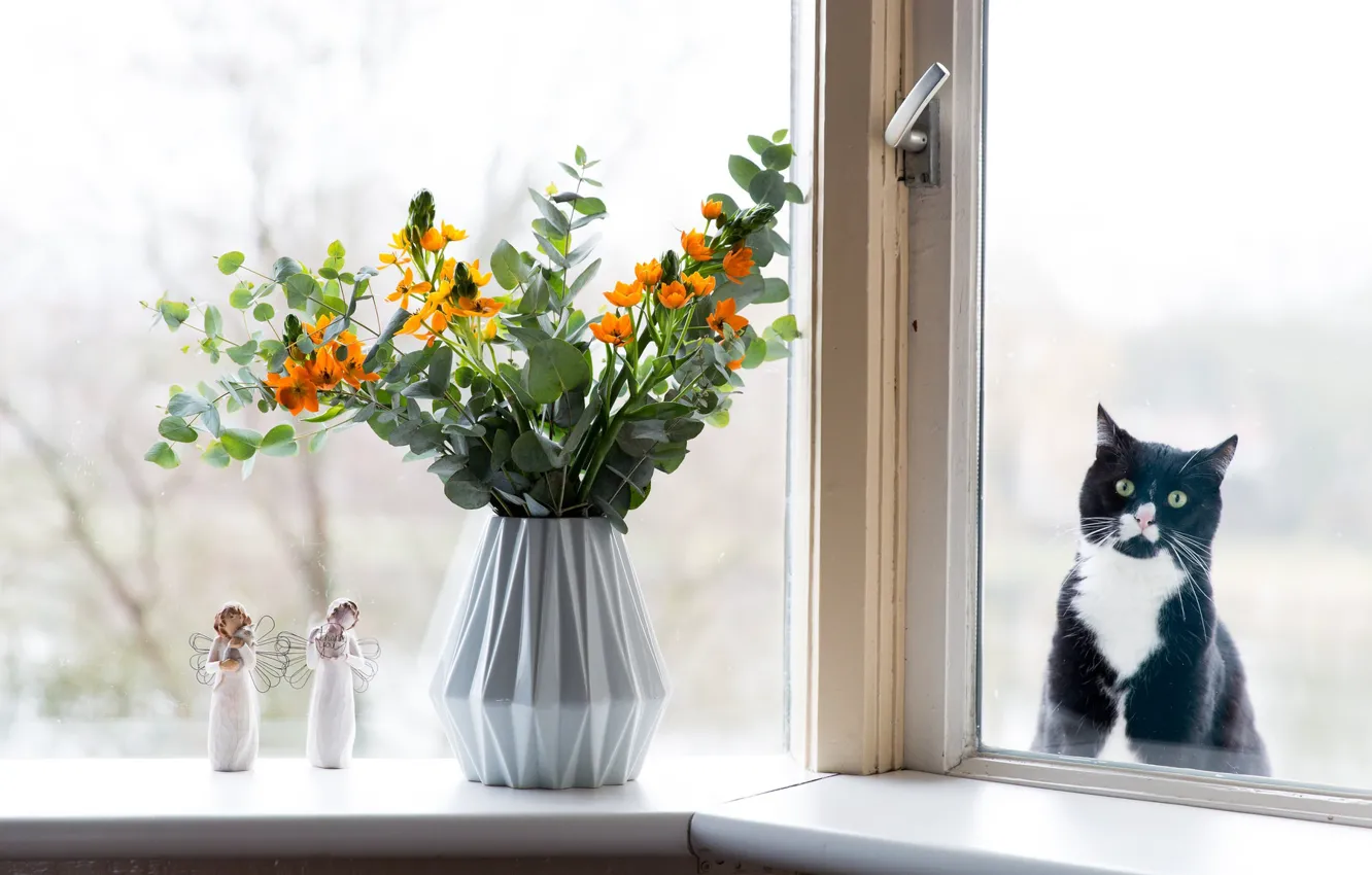Photo wallpaper cat, eyes, cat, look, glass, flowers, pity, black