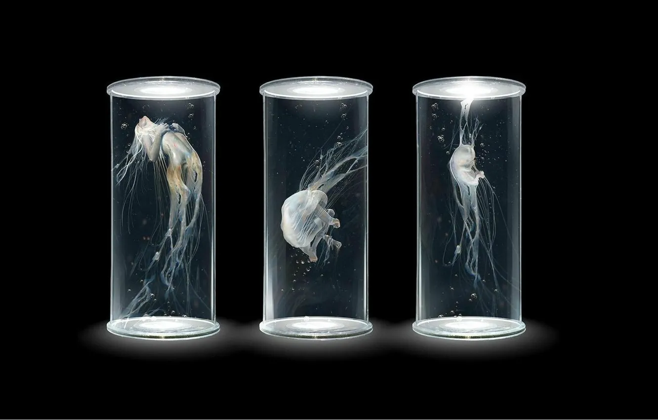 Photo wallpaper bubbles, clone, laboratory, tubes, the embryo, in the dark