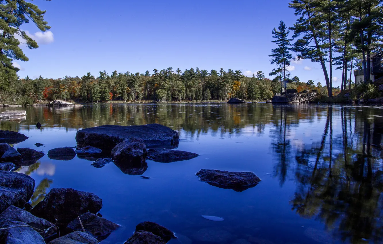 Photo wallpaper autumn, forest, the sky, lake, stones