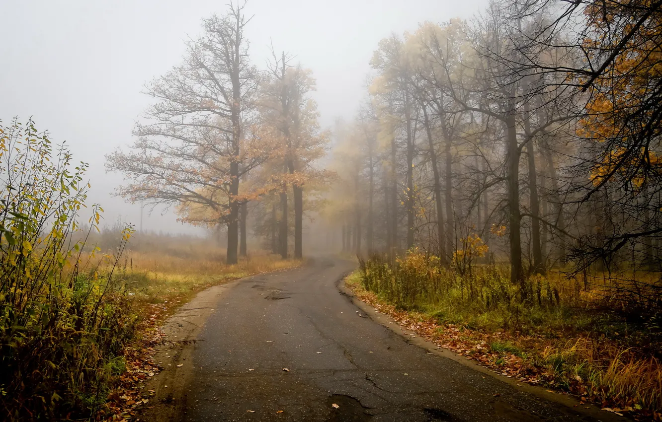 Photo wallpaper road, autumn, landscape, nature, fog