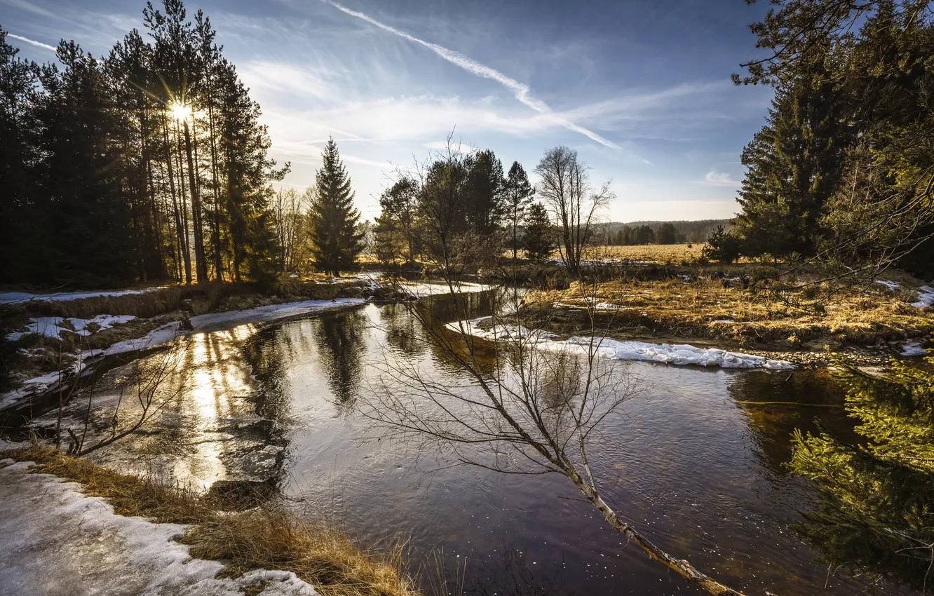 Photo wallpaper river, spring, morning