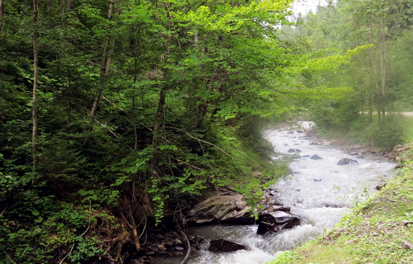 Photo wallpaper mountains, river, Ukraine, Carpathians, biosphere reserve