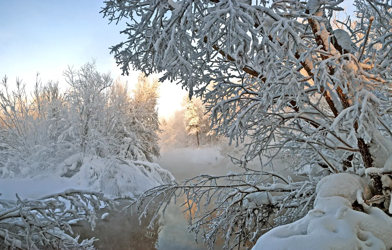 Photo wallpaper winter, snow, trees, river