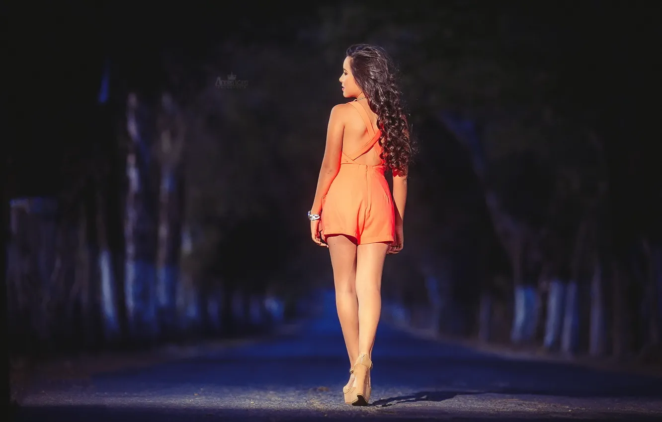 Photo wallpaper girl, pose, background, Ambar