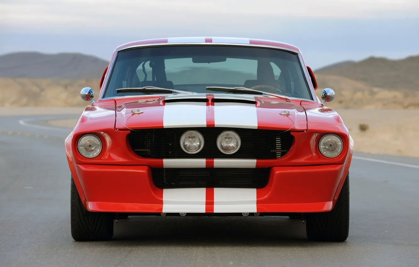 Photo wallpaper Mustang, Shelby, gt500cr