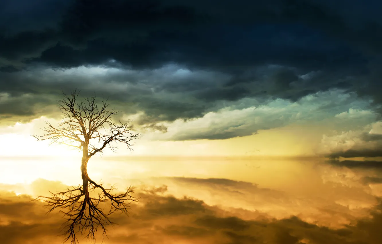 Photo wallpaper sea, the sky, water, clouds, light, trees, sunset, clouds