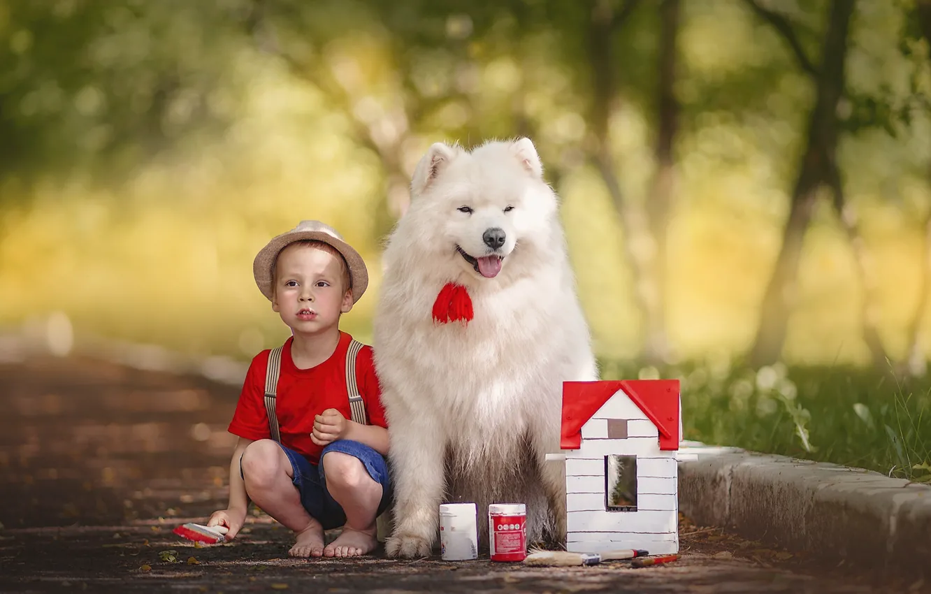 Photo wallpaper children, animal, paint, toy, dog, boy, house, brush