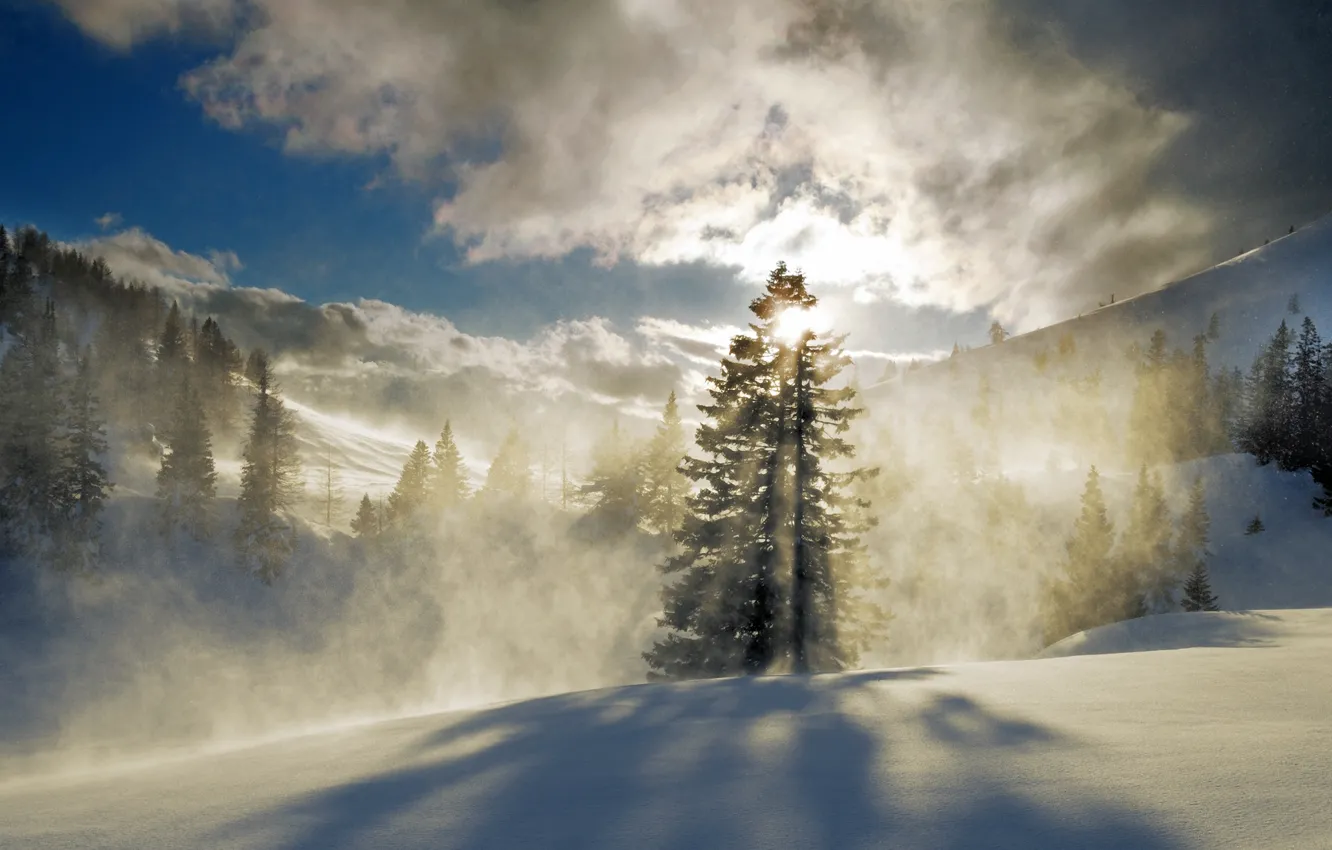 Photo wallpaper winter, forest, the sun, snow, mountains, fog, tree