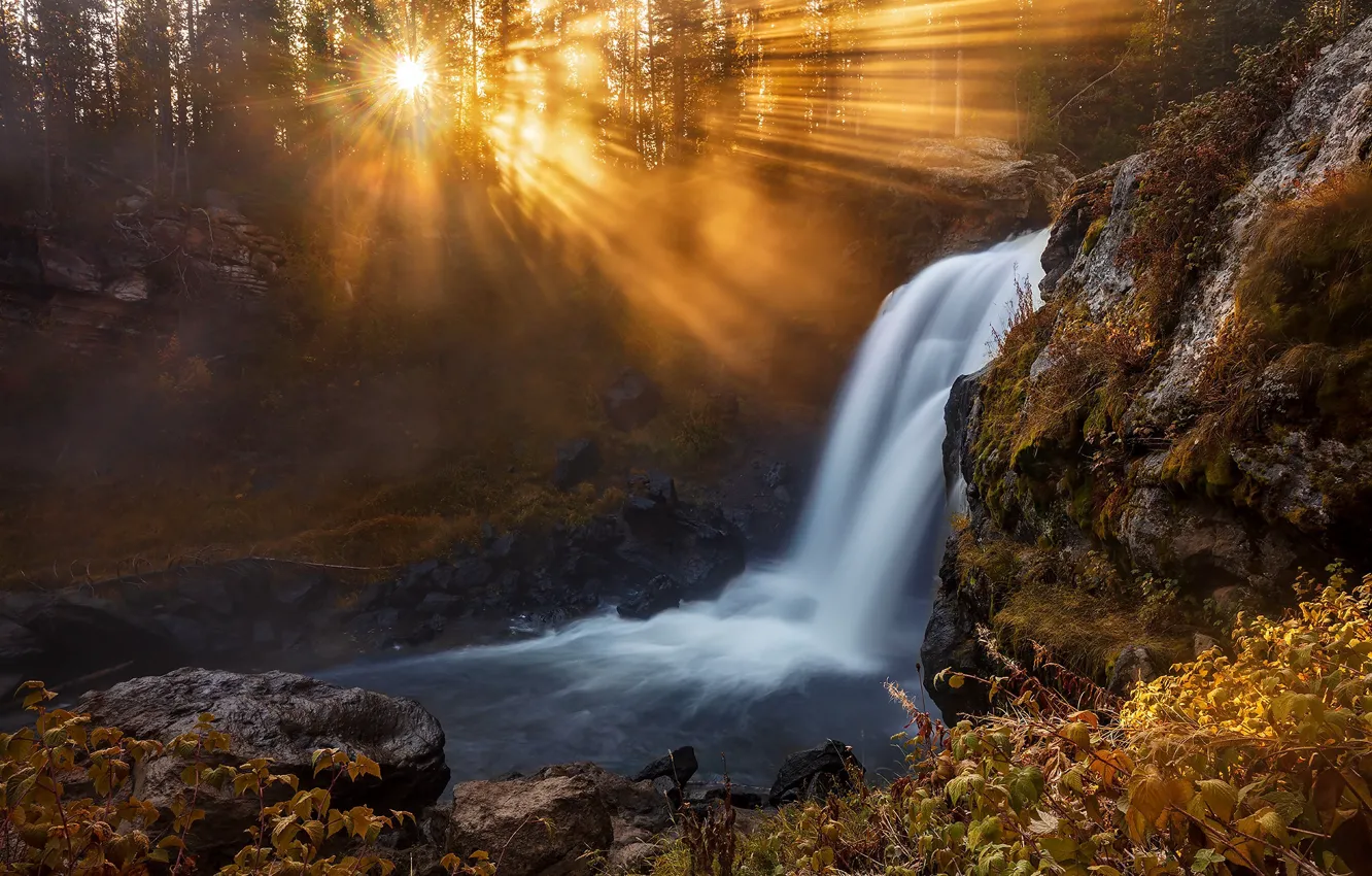 Photo wallpaper forest, the sun, rays, waterfall, Wyoming, Wyoming, Yellowstone national Park, Yellowstone National Park