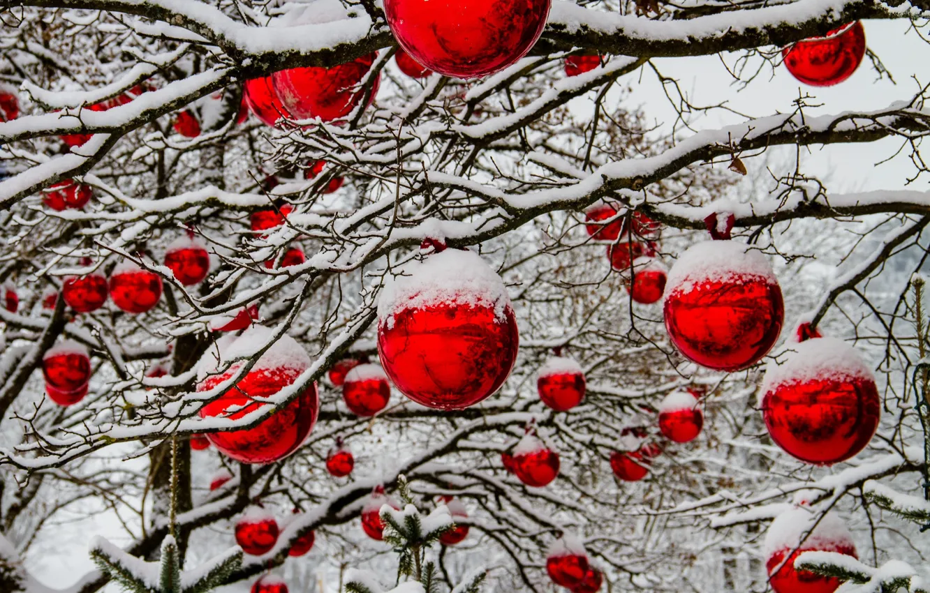 Photo wallpaper snow, branches, new year, Christmas, red balls