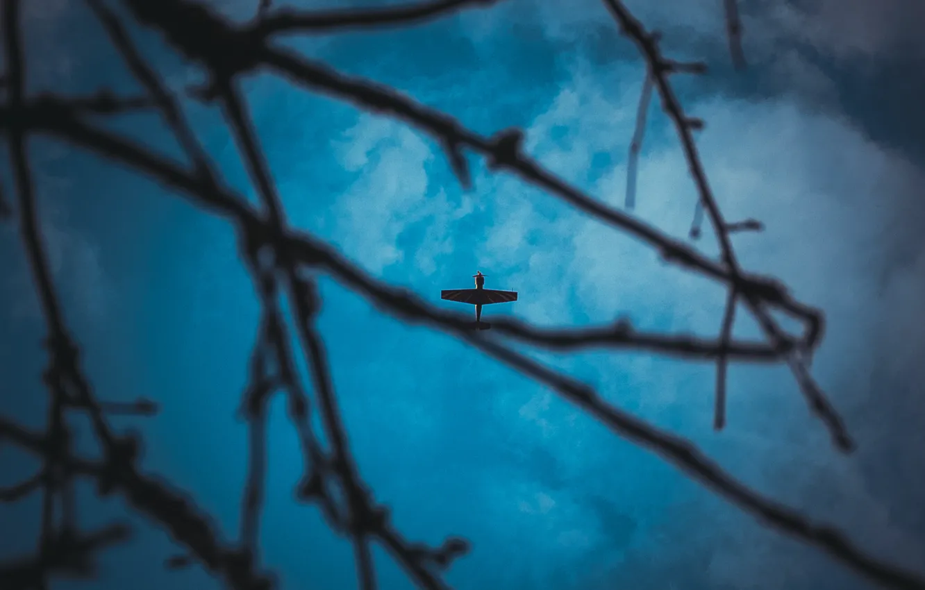 Photo wallpaper the sky, blue, the plane, piston