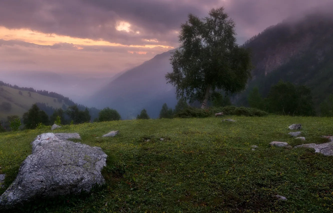 Photo wallpaper landscape, mountains, nature, stones, tree, dawn, morning, the bushes