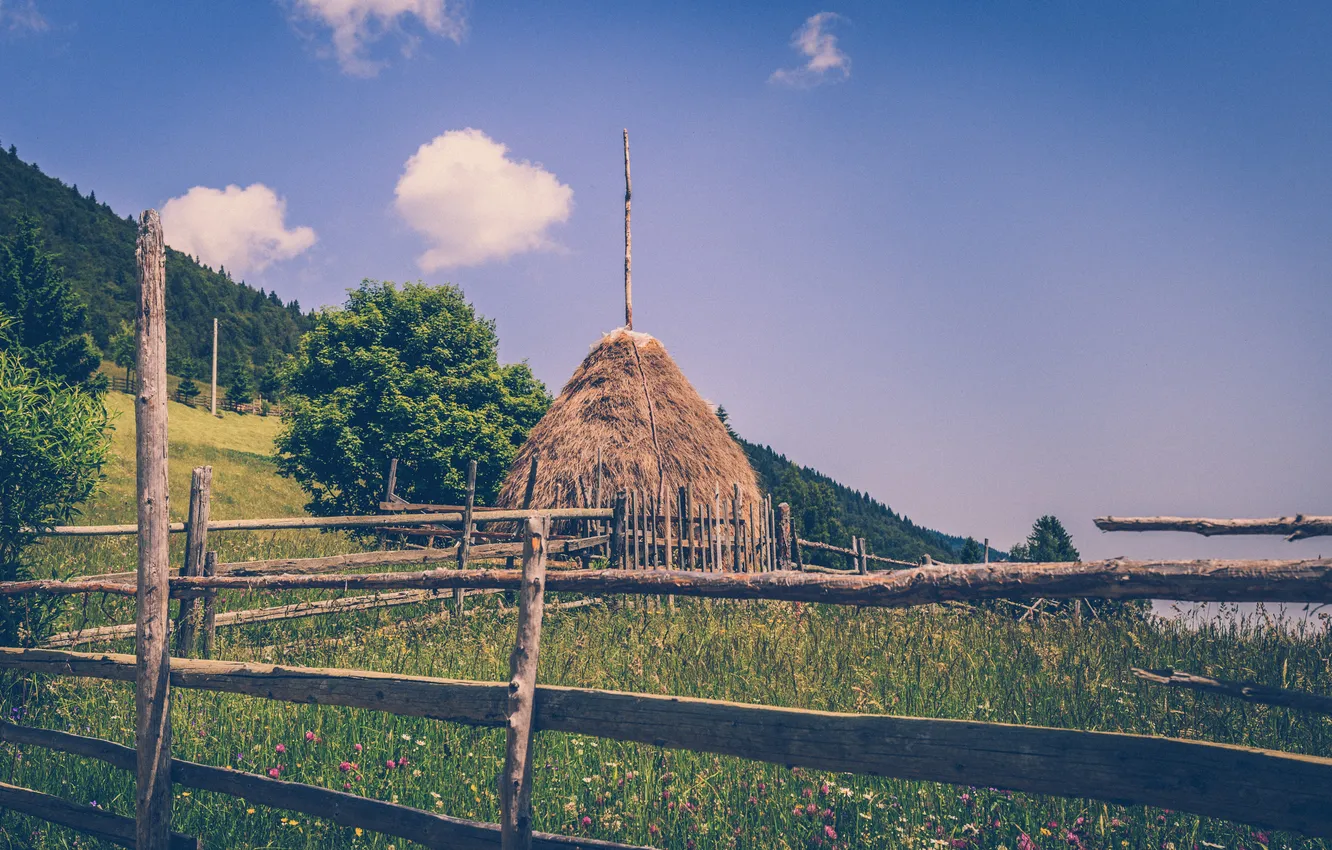 Photo wallpaper field, flowers, the fence, hut, farm