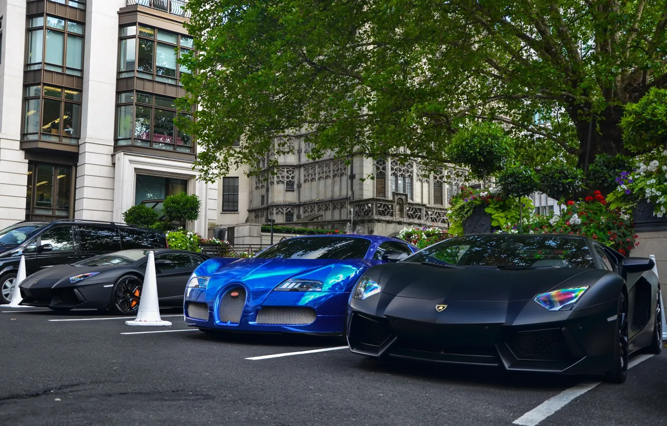 Photo wallpaper Bugatti, Veyron, supercar, Bugatti, Blue, Lamborghini, Black, the front