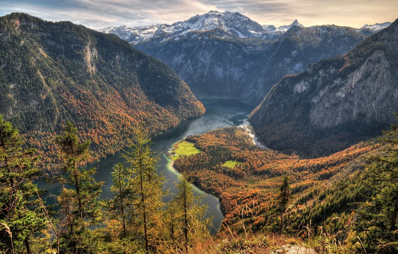 Photo wallpaper forest, the sky, clouds, trees, landscape, mountains, nature, river