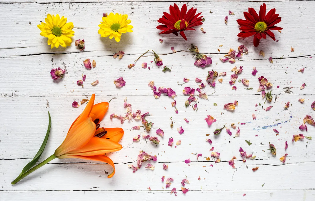 Photo wallpaper flowers, colorful, wood, flowers, composition, floral