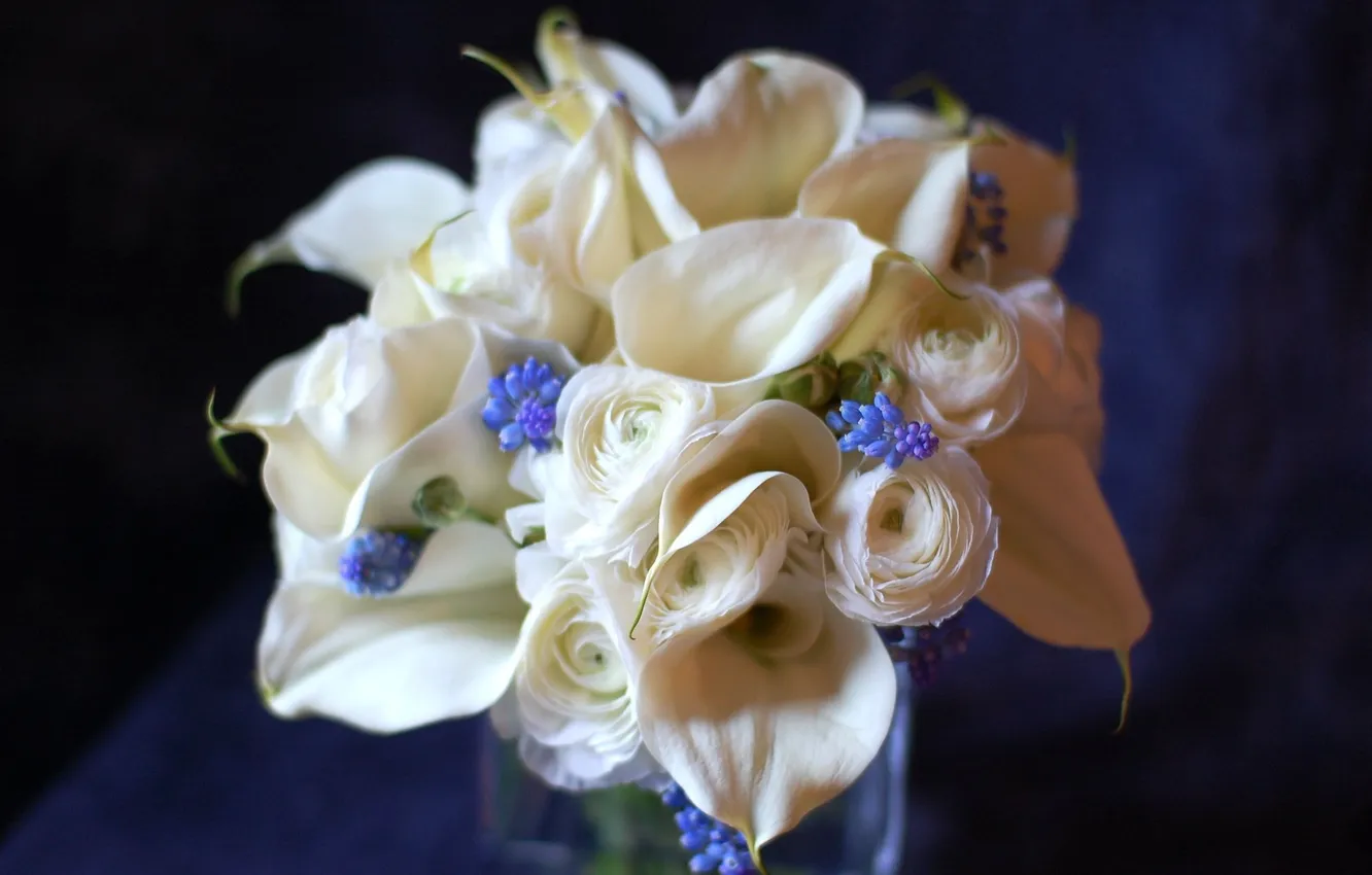 Photo wallpaper white, flowers, blue, color, bouquet, Ranunculus, Calla lilies, hyacinths