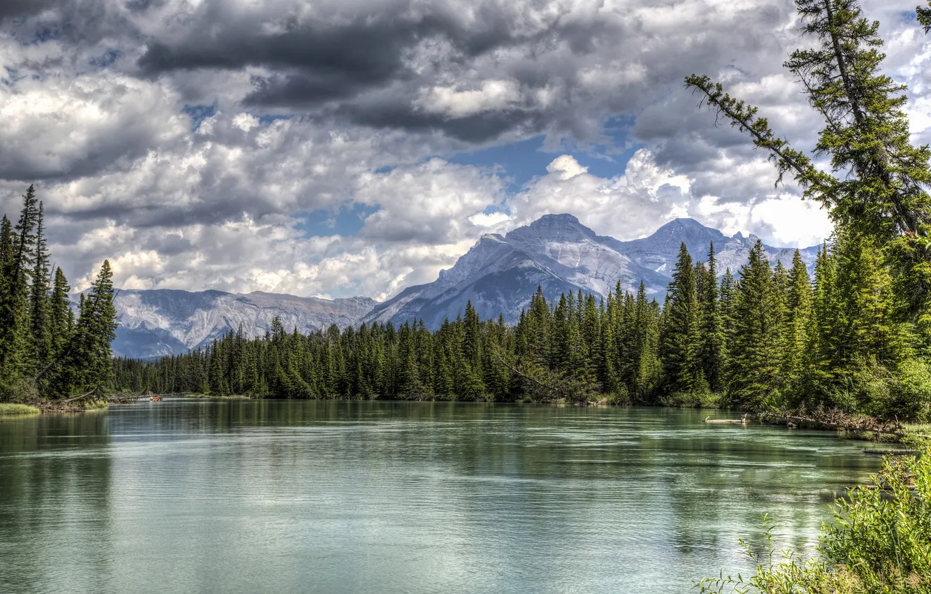 Photo wallpaper forest, mountains, lake, Canada, Albert, Banff National Park, Alberta, Canada