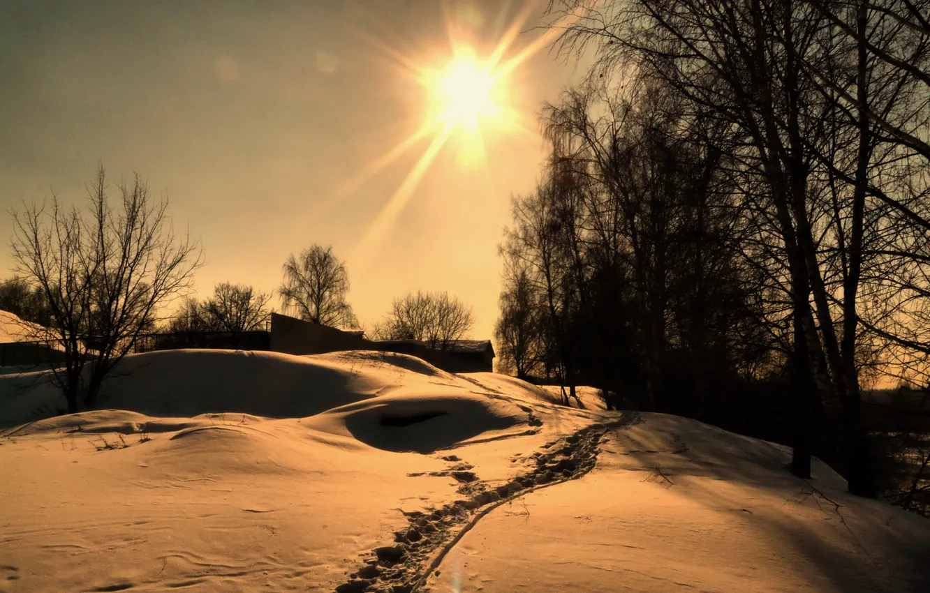 Photo wallpaper snow, trees, village, winter, snow, sun, winter day, sunlight