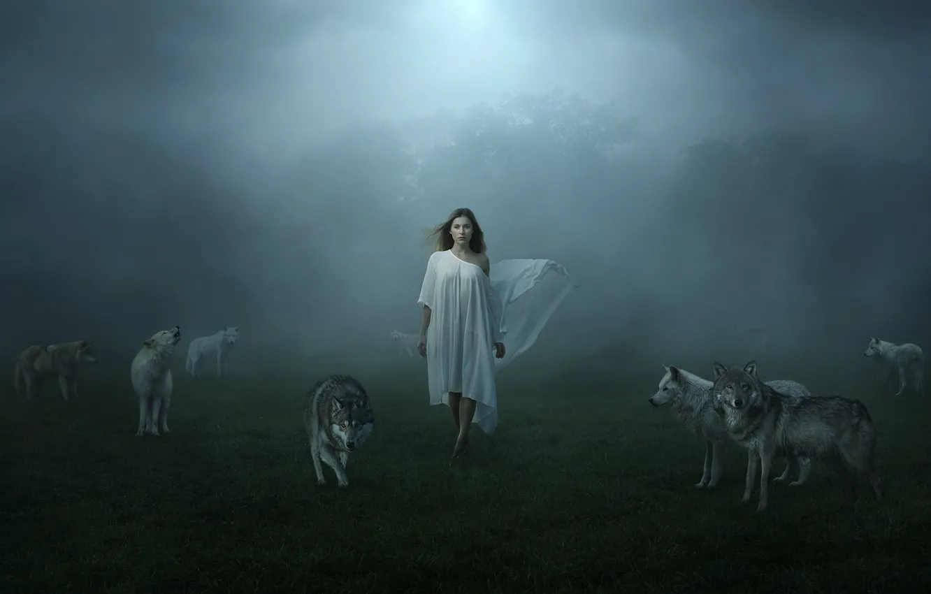 Photo wallpaper girl, fog, wolves