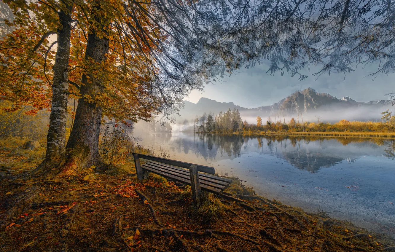 Photo wallpaper autumn, trees, mountains, bench, nature, fog, lake