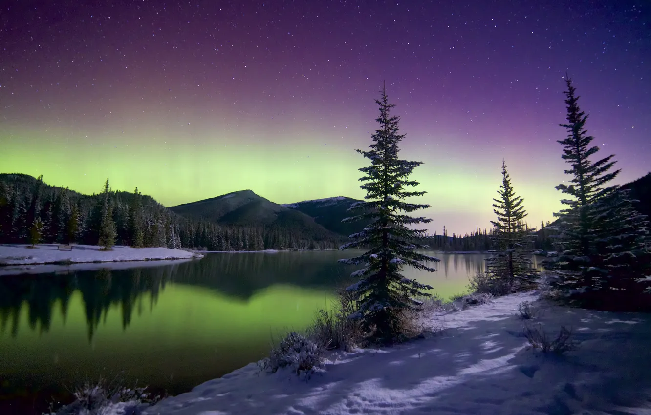 Photo wallpaper winter, the sky, stars, snow, trees, mountains, Northern lights