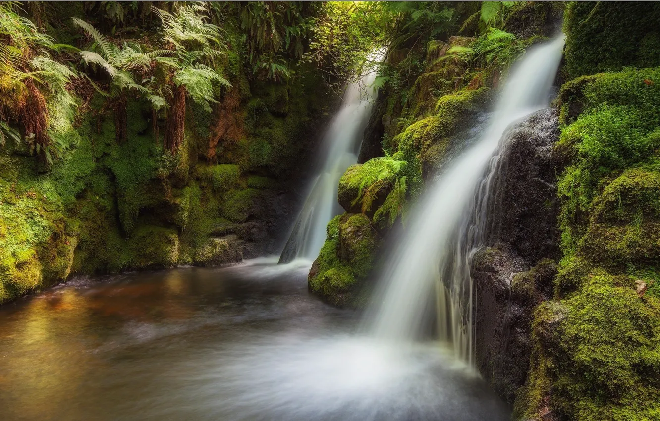 Photo wallpaper water, stones, waterfall, moss