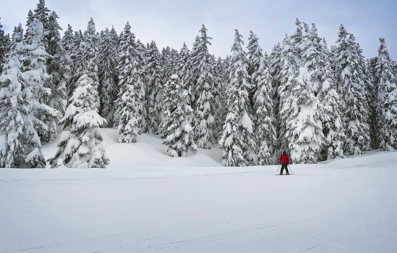 Photo wallpaper winter, snow, skier