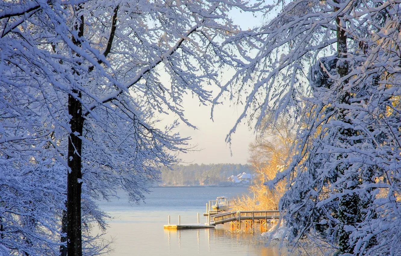 Photo wallpaper winter, snow, trees, South Carolina, South Carolina, Lake Murray, Lake Murray