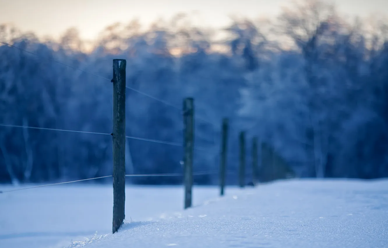 Photo wallpaper winter, snow, the fence