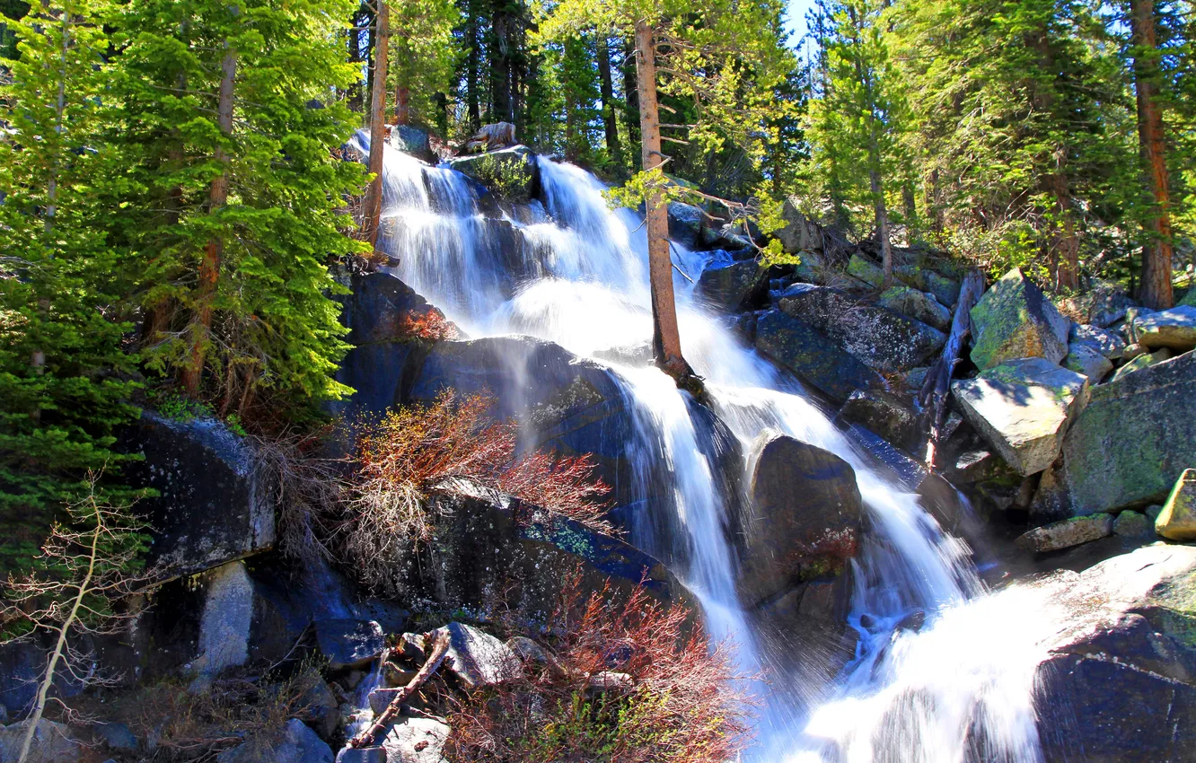 Photo wallpaper forest, trees, squirt, stones, waterfall, CA, USA, Yosemite