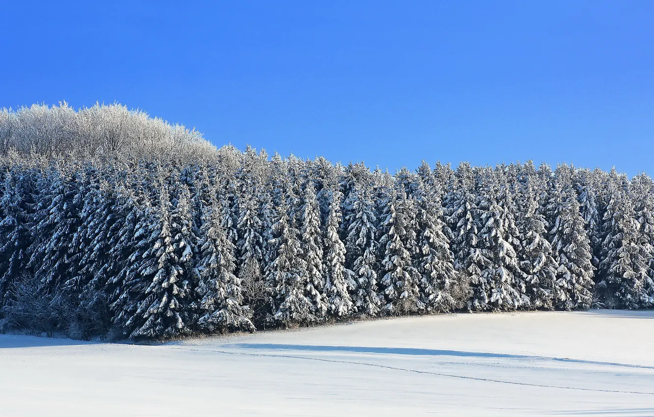 Photo wallpaper winter, field, snow, ate