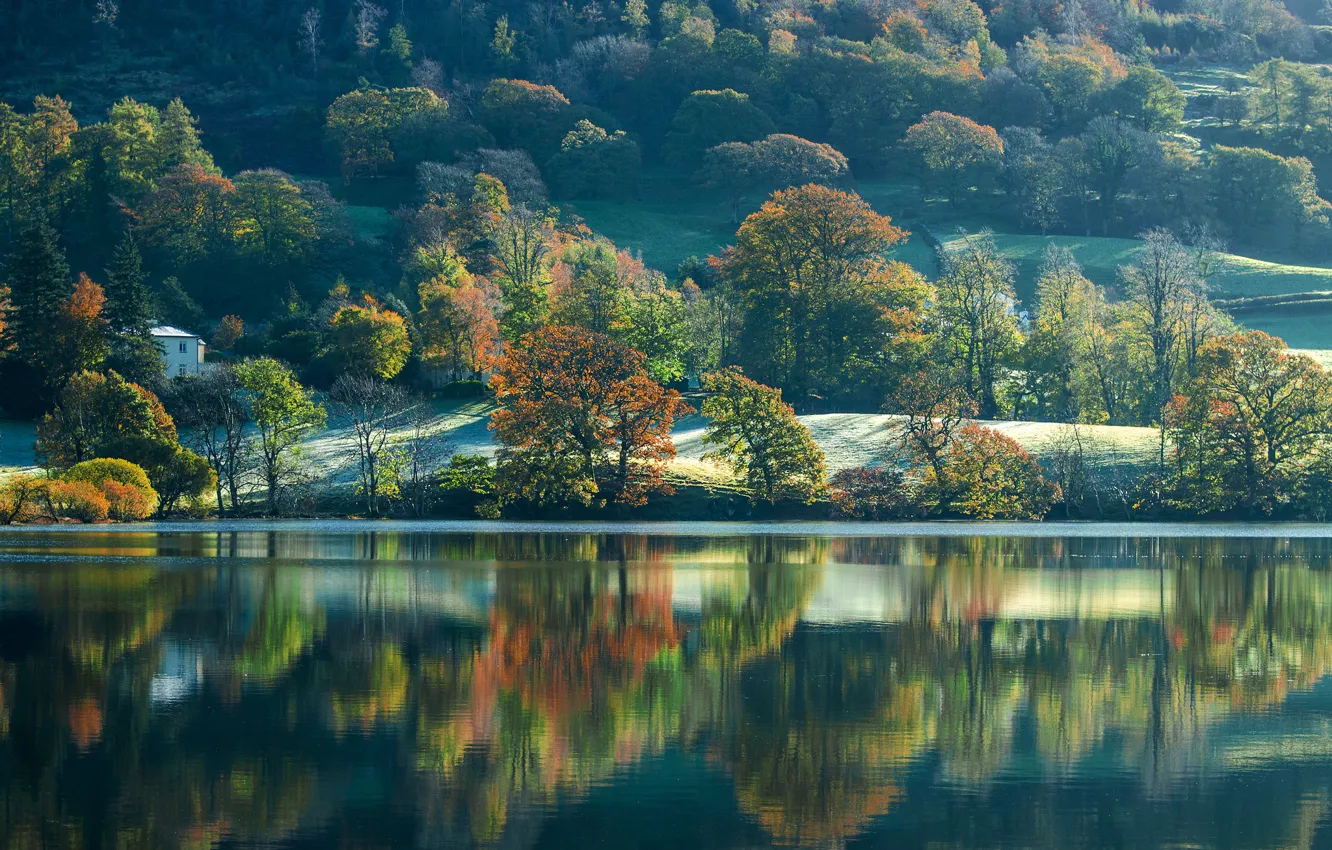 Photo wallpaper autumn, trees, lake, England, slope, England, Cumbria, Cumbria