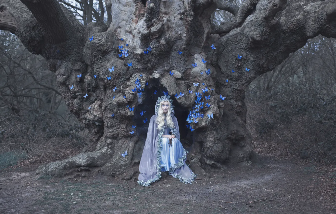 Photo wallpaper girl, butterfly, tree