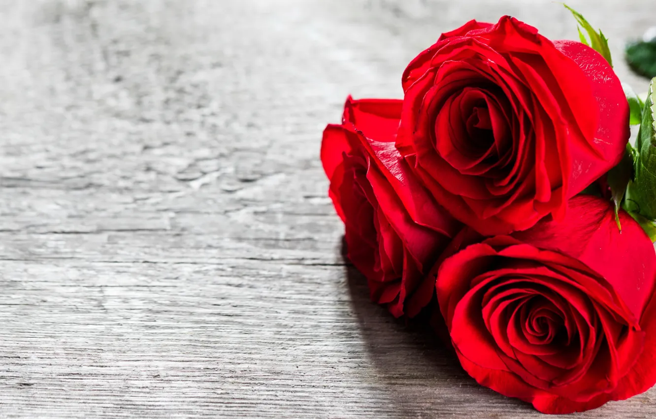 Photo wallpaper love, flowers, red, roses, bouquet, red, love, wood