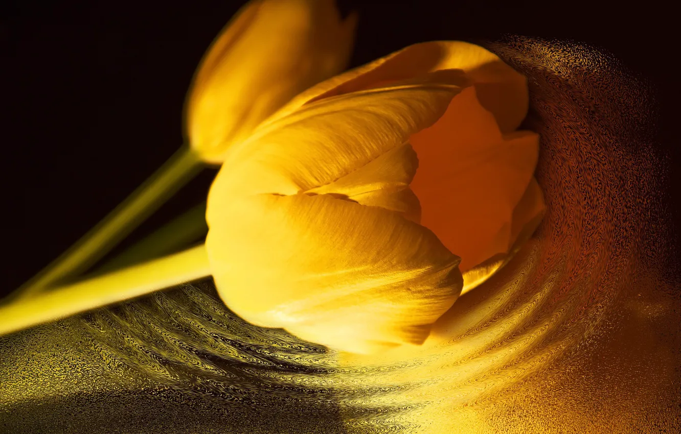 Photo wallpaper yellow, ruffle, petals, tulips