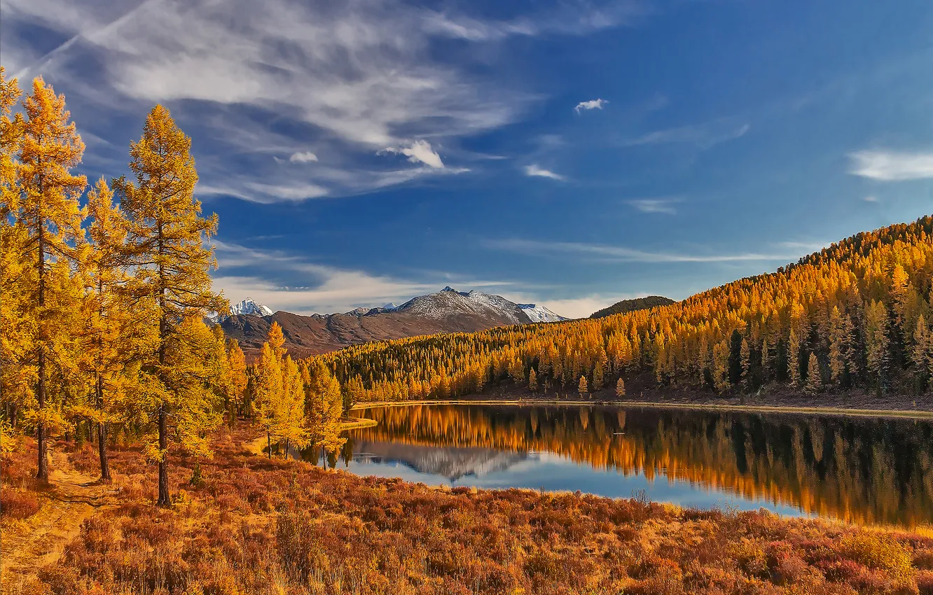 Photo wallpaper mountains, lake, horizon, space, yellowed grass, Autumn Altai, Marina Yudinskikh