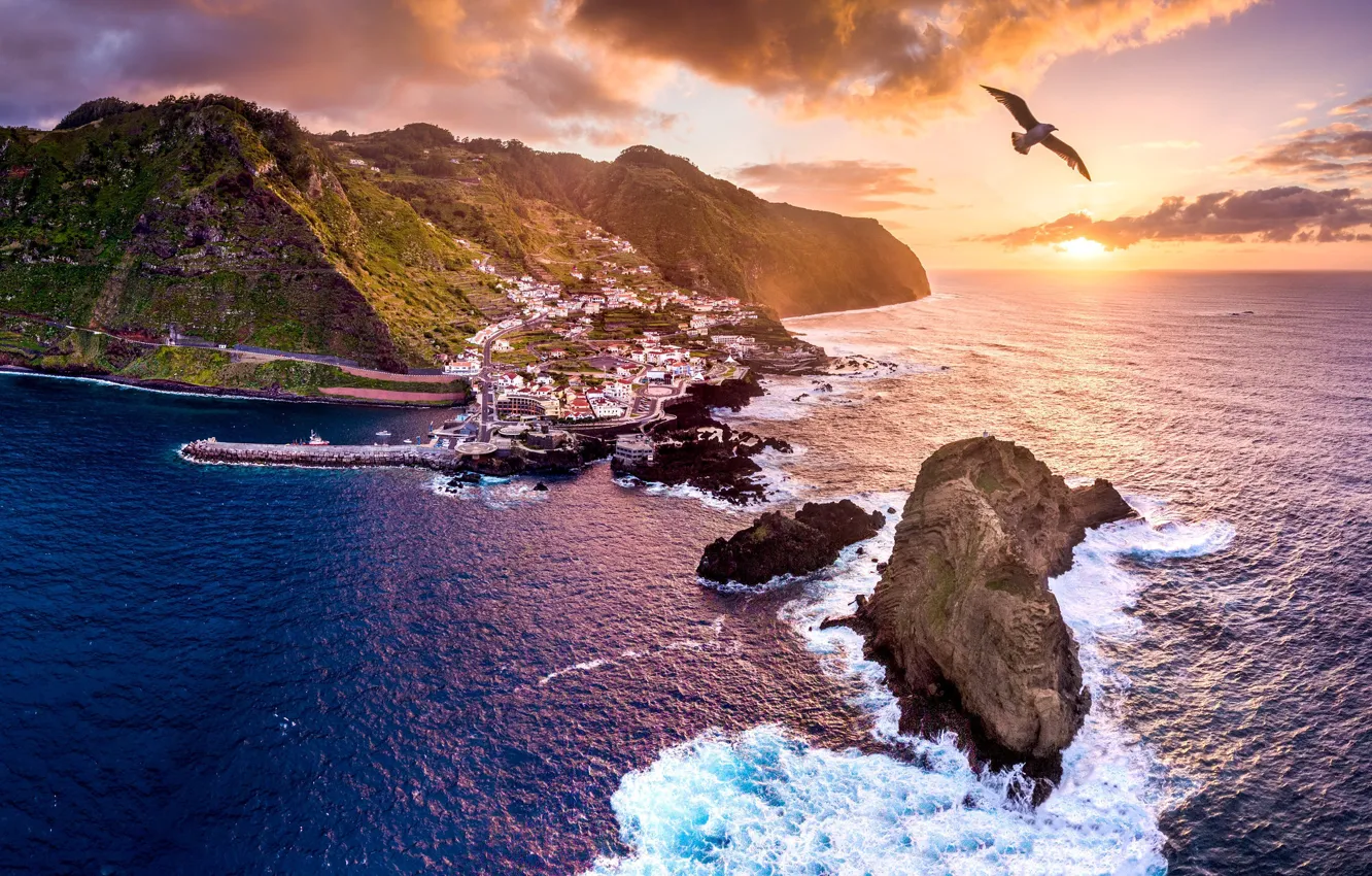 Photo wallpaper photo, Portugal, Madeira