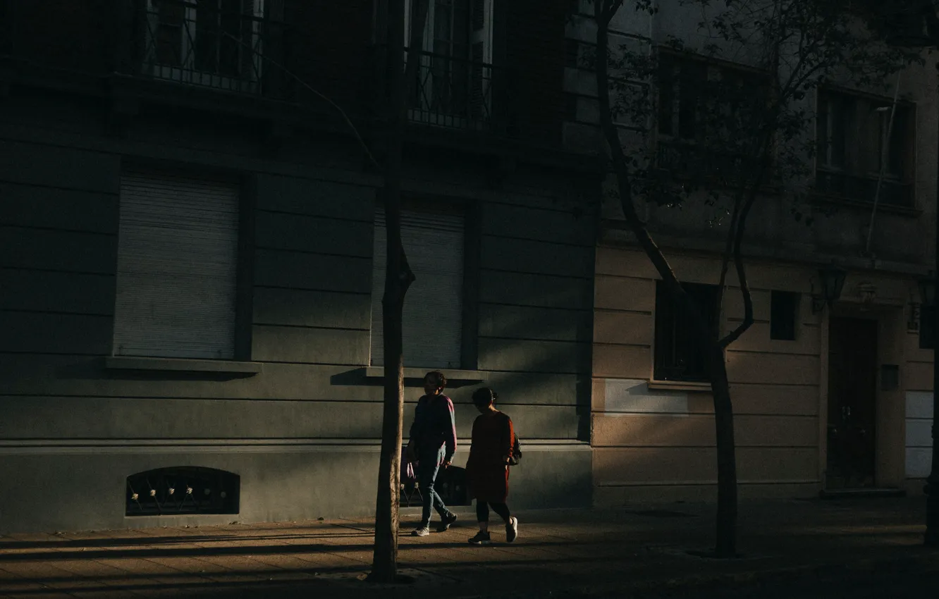 Photo wallpaper city, tree, evening, people, houses, walking, Mark Paul